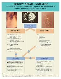 Image result for scabies transmission