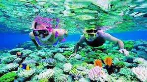 Di pulau inilah pengungsi dari vietnam, kamboja dan thailand pernah ditampung oleh pemerintah indonesia. 7 Pulau Di Terengganu Untuk Bercuti 2021 Paling Best