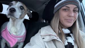 Fundraiser by Alana April : CANCER SUCKS! Help us save our Lola Bug