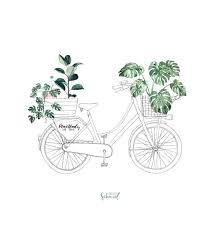 Watercolor Illustration Plants On Instagram P L A N T L A D Y O N T O U R Dass In Munster Nichts Ohne Unsere Le Fahrrad Zeichnung Illustration Zeichnungen