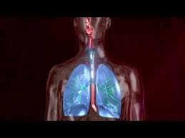 5 Minute Healing Sounds Qi Gong For Healthy Lungs Qigong Healthy Lungs Craniosacral Therapy