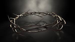 Download crown thorns images and photos. Crown Of Thorns Digital Art By Allan Swart
