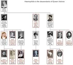 Elizabeth ii is descended from henry viii's sister, queen margaret of scotland the. Haemophilia In European Royalty Wikipedia