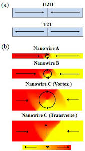 A Schematic Diagrams Of Head To Head H2h And Tail To Tail T2t Download Scientific Diagram