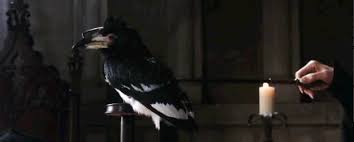 Vera Verto Neptolumbia Wiki Fandom