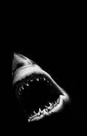 Black And White Shark Pictures 4 95 Gbp Framed Print Great White Shark Attacking From The Darkness Picture Animal Ebay Home Great White Shark Great White Shark Attack White Sharks