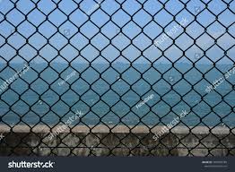 Steel Wire Mesh Fence On Sea Background Ad Ad Mesh Wire Steel Background In 2020 Mesh Fencing Wire Mesh Fence Wire Mesh