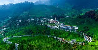 Image result for puncak rindu alam CIANJUR