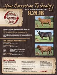 Charismatic charlie wade chapter list. 2016 Synergy By Sci Stephanie Cronin Inc Issuu