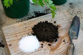 It also provides vital nutrients to supplement your regular fertilizer. How To Use Epsom Salt For Plants Myths And Facts Plants Spark Joy