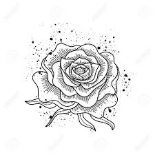 Los tattoos en el brazo para hombres son perfectos para expresar algo que llevamos con nosotros, que queremos conservar y «abrazar». Disenos De Rosas Para Tatuajes Blanco Y Negro Diseno De Unas