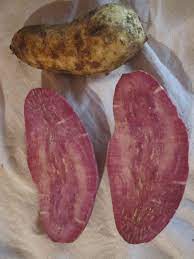 Sweet potatoes and coconut grow. Roots Crops Of Tonga Tonga Time