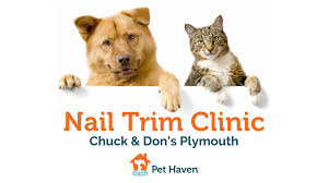 Learn more about winona area humane society in winona, mn, and search the available pets they have up for adoption on petfinder. Events Pet Haven Of Minnesota