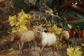 Cabela's (601 cabela dr, mitchell, sd). Cabela S Retail Inc Hunting Sporting Goods Shopping Clothing Shoes Museums Tourist Attractions Meeting Spaces Mitchell Sd Outside Expectations