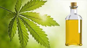 Aceite De Neem Efectos Secundarios Contraindicaciones Beneficios Y Usos Unisima Com