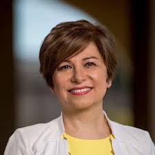 Bahar Aghighi, MD FACE, 15720 Winchester Blvd, Ste 100, Los Gatos, CA  95030, US