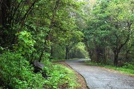Sanjay Gandhi National Park ...