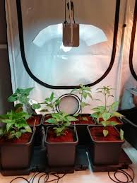 Autopot Coco Grow Round Mirror Bathroom Mirror Decor