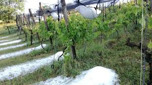 Jun 22, 2021 · die unwetter begannen am montag gegen 21.30 uhr. Hagel In Der Steiermark Antenne Steiermark