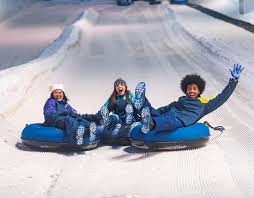 Patinação no gelo, esqui, montanha de neve, snowboard e muito mais. Nao Recomendo Em Alta Temporada Avaliacoes De Viajantes Snowland Tripadvisor