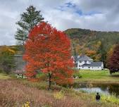 Falling Inward: a Vermont Retreat — Willow