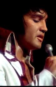 Elvis was "diagnosed" with narcolepsy by doctor... who? 11/20/2023 Elvis is  with South LA Animal Shelter . this video was taken yesterday. he sees a  dog in the adj adjacent yard and