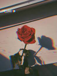 Pin By Myfath Tv On Love Aesthetic Iphone Wallpaper Iphone Wallpaper Tumblr Aesthetic Aesthetic Roses