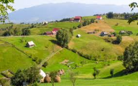 Check spelling or type a new query. Oportunitati Finantare Cu Bani Europeni 2020 A Consulting