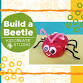 Wednesday Workshop - Build a Beetle (5-10y) event image