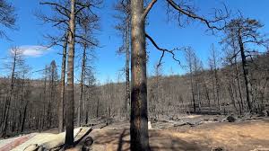 Aspen Acres Fire: Fire activity increases in the southwest