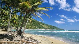 The island nation has long been a popular travel destination, known for its golden sand beaches and waters of all shades of blue. Hd Wallpaper Vacia Talega Beach Puerto Rico Beaches Wallpaper Flare