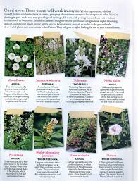 The ones that smell the most are the same ones that take up a huge space unless kept diligently pruned. 39 Fragrant Night Bloomers Ideas Moon Garden Plants Planting Flowers