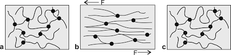 Elastomer, any rubbery material composed of long chainlike molecules, or polymers, that are capable of recovering their original shape after being stretched to great extents—hence the name elastomer. Duroplastische Und Elastomere Kunststoffe Springerlink