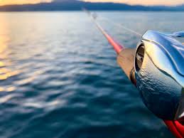 フィッシング k