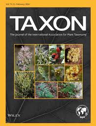 Image result for Thesium megalocarpum