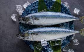 Mimpi dapat ikan mempunyai arti bahwa anda akan mendapatkan rezeki atau keberuntungan dimana sesuai besarnya ikannya juga semakin besar atau banyak anda mendapatkan ikan maka semakin. 29 Arti Mimpi Tentang Ikan Tenggiri Menurut Primbon Jawa Dan Islam Arti Mimpi Lengkap