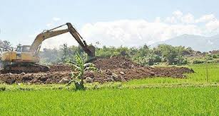 Pemberian pupuk dan pengendalian hama. Aktif Cegah Alih Fungsi Lahan Produktivitas Padi Di Kabupaten Ngawi Meningkat