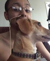 Team Devon Supporting Cannabis for Crohn's Disease