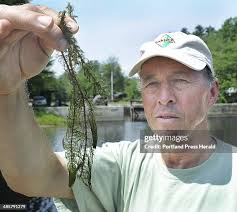 288 Peter Lowell Stock Photos, High-Res Pictures, and Images