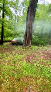 The truth about Lizzy Sharer nudes must see private content