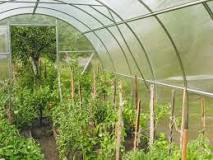 Image result