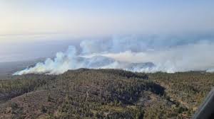 We did not find results for: El Incendio De Arico Tenerife Tiene Un Perimetro De 1 100 Hectareas Y Preocupa El Flanco De Granadilla