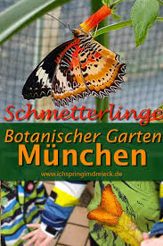Botanischer Garten Munchen In 2020 Garten Munchen Botanischer Garten Munchen Botanischer Garten