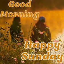 Hello, guys, morning everyone, hope all are doing great. 55 Good Morning Happy Sunday Images Picture Photo Wallpaper Free Download Best Wishes Image