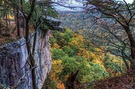 Timeline Photos Almost Heaven Wild Wonderful West Virginia Cool Places To Visit Hiking National Parks West Virginia