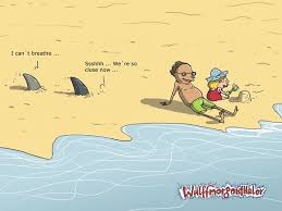 Every image can be downloaded in nearly every resolution to ensure it will work with your device. Beach Funny Quotes With Cartoon Images Sharks Cartoon Funny Cartoon Pictures Funny Wallpapers Funny Dogtrainingobedienceschool Com