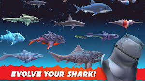 hungry shark evolution hungry shark evolution kopek baligi kopekbaliklari okyanus