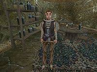 We did not find results for: Morrowind Brallion S Ring The Unofficial Elder Scrolls Pages Uesp