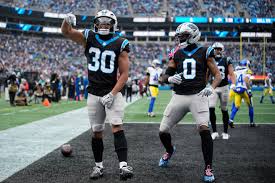 Image result for Hubbardochloa