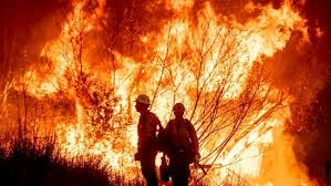 LA wildfires: Kenneth fire, latest ...